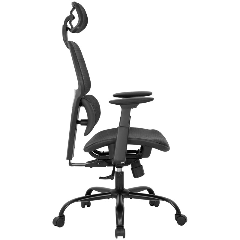 Inbox Zero Ergonomic Mesh Task Chair & Reviews Wayfair
